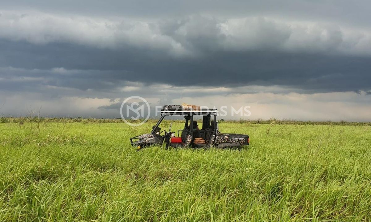 270-ha-Bandeirantes-Ms
